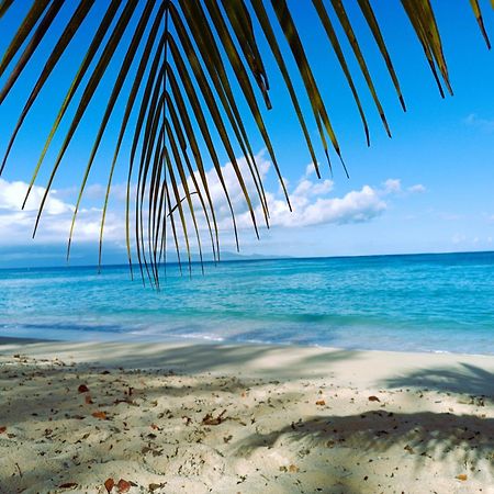 Kaz A Klemence Gite Creole Avec Piscine Et Table Dhotes A Anse Bertrand Екстериор снимка