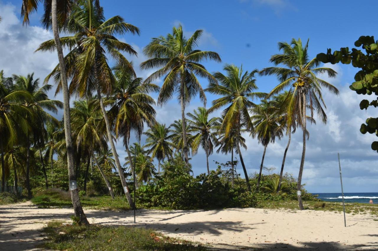 Kaz A Klemence Gite Creole Avec Piscine Et Table Dhotes A Anse Bertrand Екстериор снимка