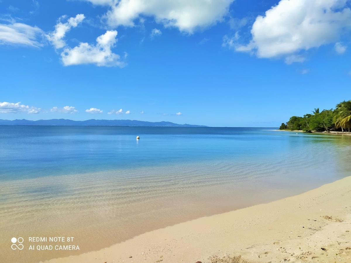 Kaz A Klemence Gite Creole Avec Piscine Et Table Dhotes A Anse Bertrand Екстериор снимка