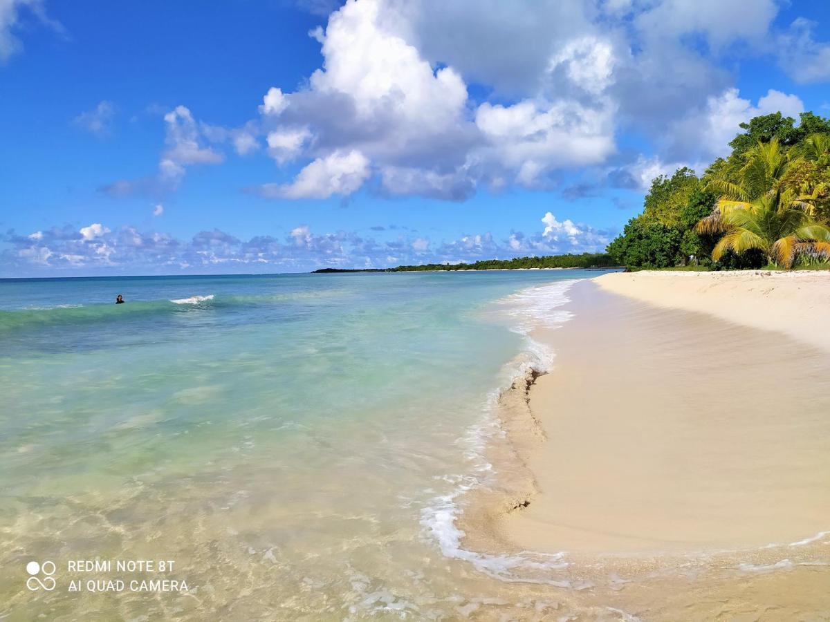 Kaz A Klemence Gite Creole Avec Piscine Et Table Dhotes A Anse Bertrand Екстериор снимка