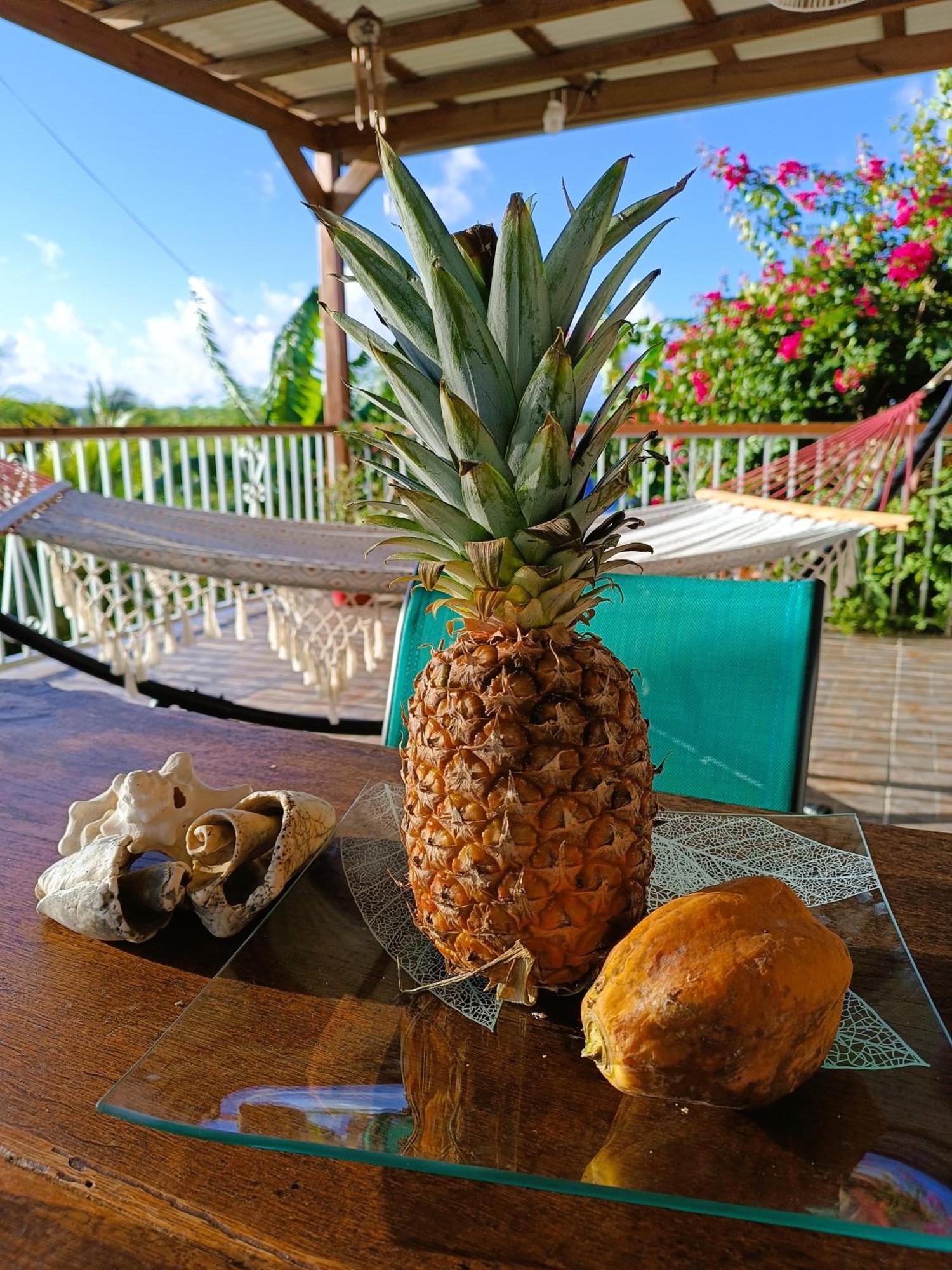 Kaz A Klemence Gite Creole Avec Piscine Et Table Dhotes A Anse Bertrand Екстериор снимка